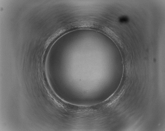 X0000063530721200601201457