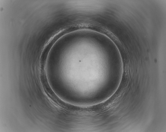 X0000063530722200601201457