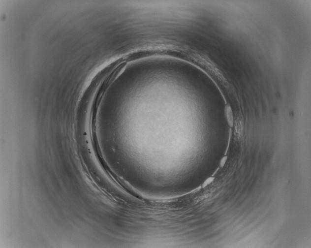 X0000063530724200601201457