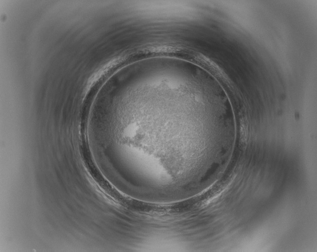 X0000063530725200601201457