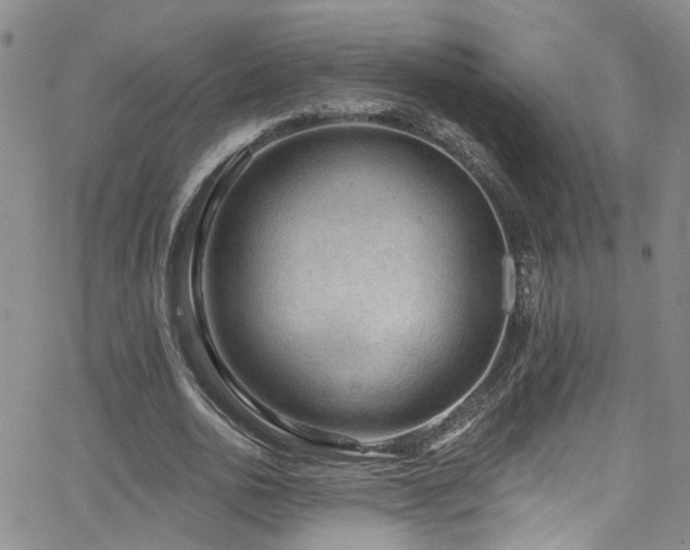 X0000063530726200601201457