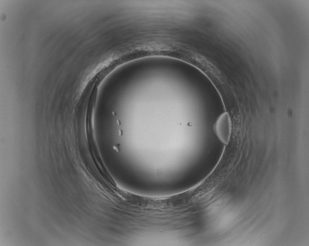 X0000063530727200601201457