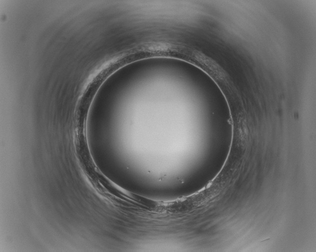 X0000063530728200601201457