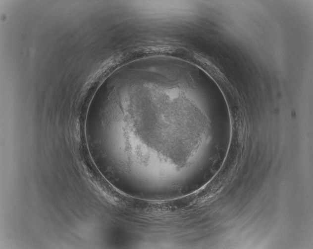 X0000063530729200601201457