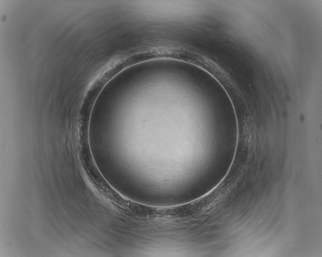 X0000063530730200601201457