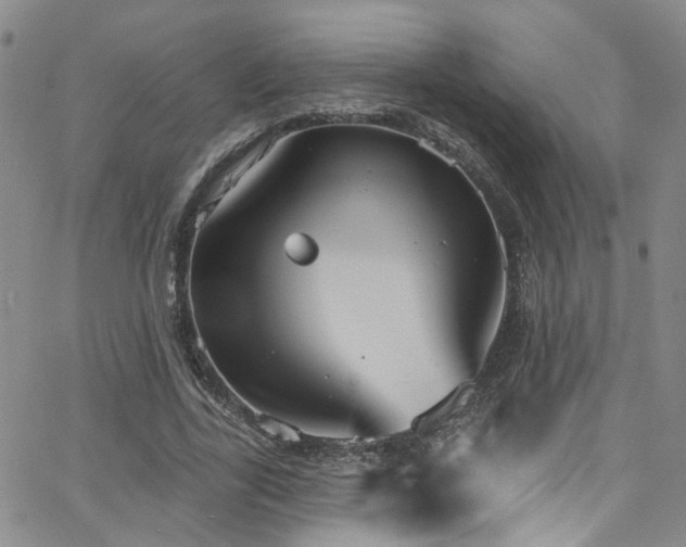 X0000063530731200601201457