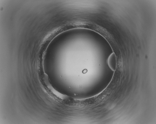 X0000063530732200601201457