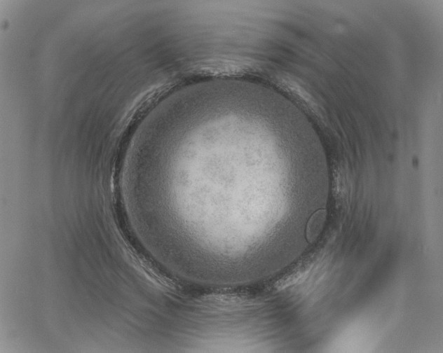 X0000063530733200601201457