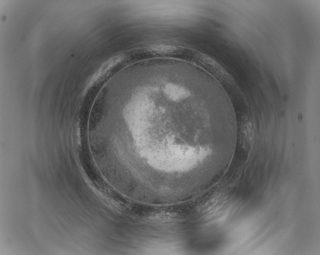 X0000063530734200601201457