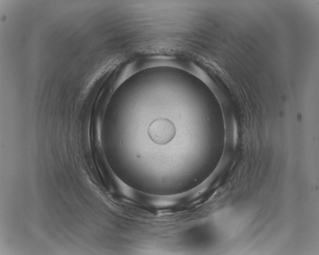 X0000063530735200601201457