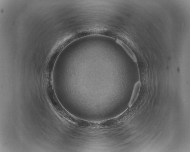 X0000063530736200601201457