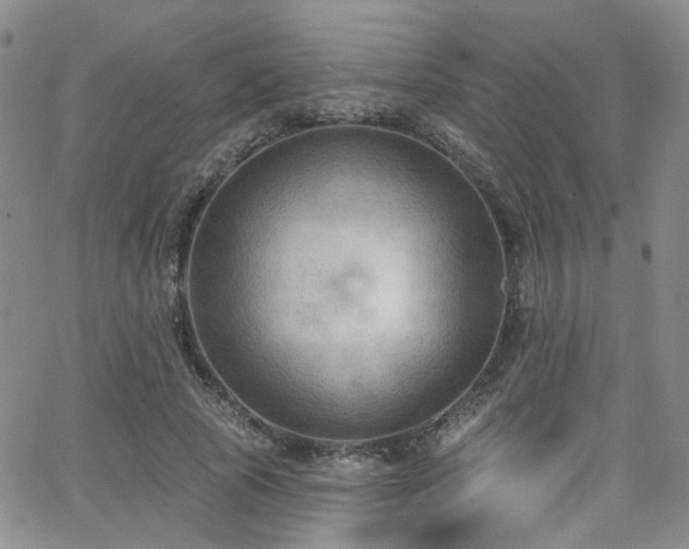 X0000063530737200601201457