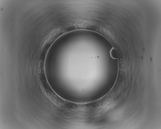 X0000063530738200601201458