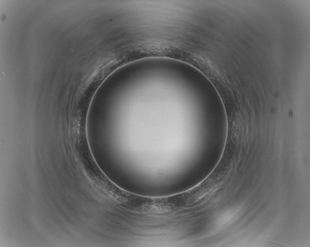 X0000063530739200601201458