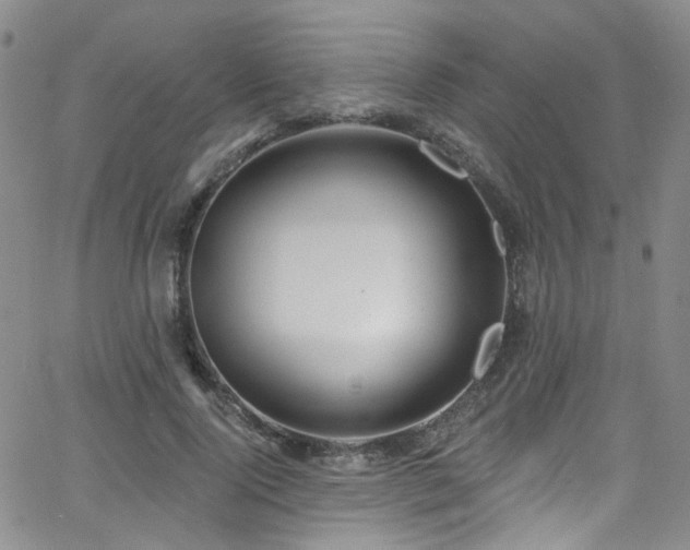 X0000063530740200601201458