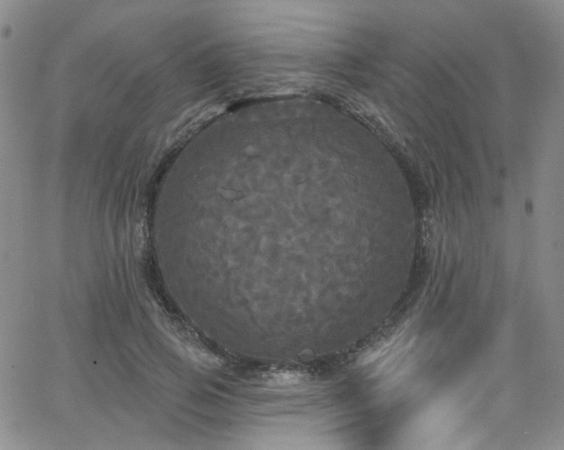 X0000063530741200601201458