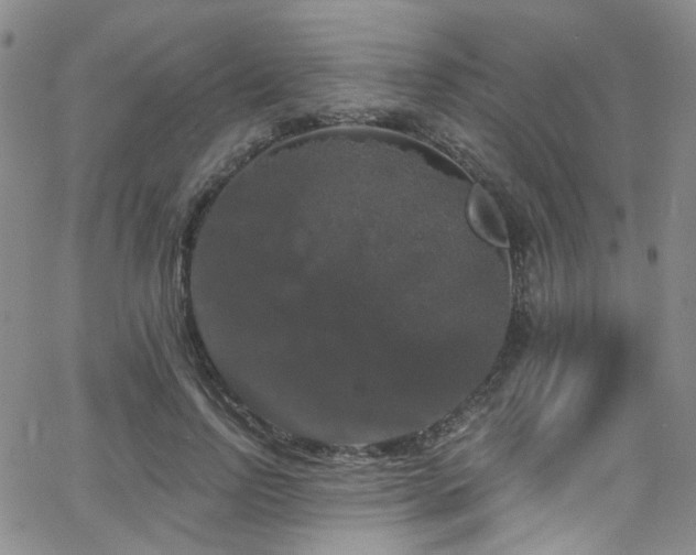 X0000063530742200601201458