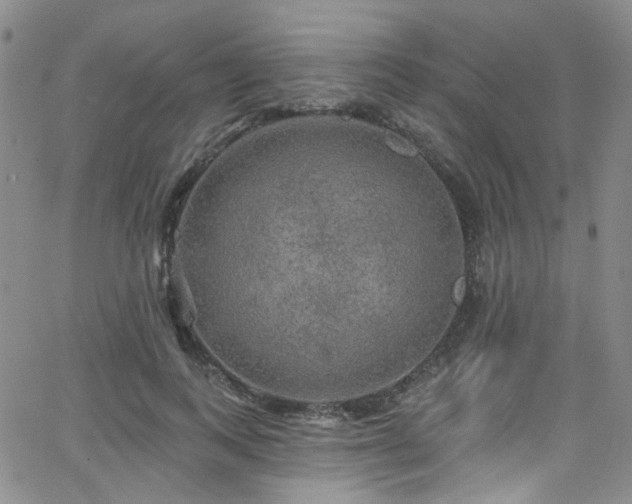 X0000063530743200601201458