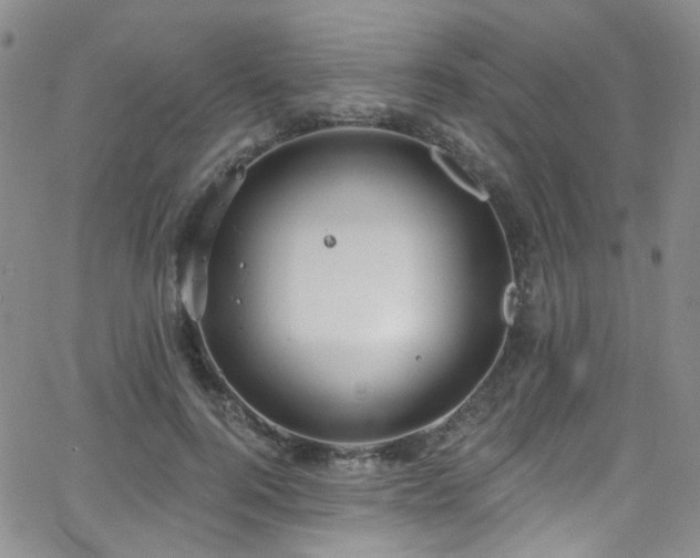 X0000063530744200601201458