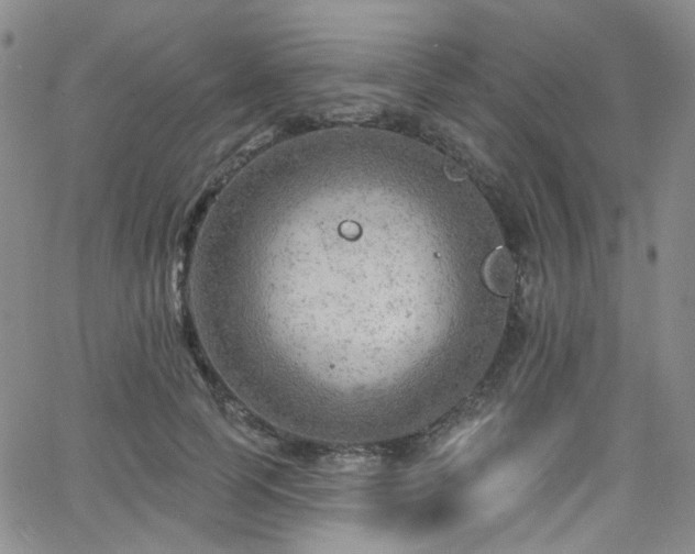 X0000063530745200601201458