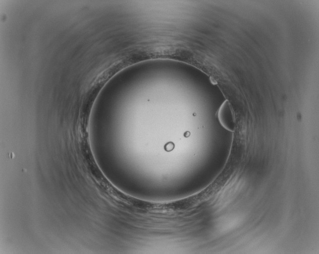 X0000063530746200601201458