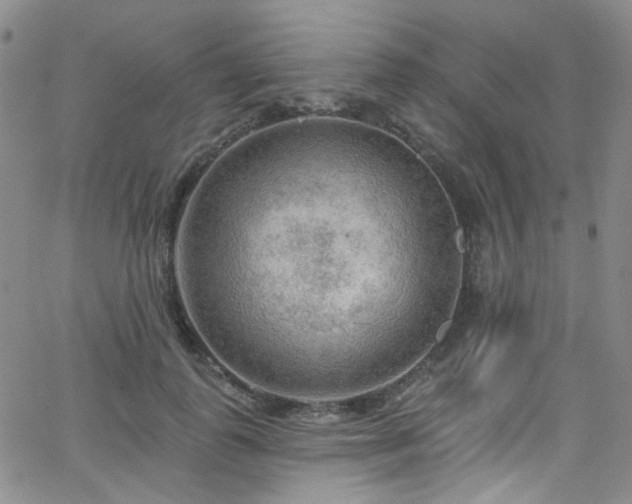 X0000063530747200601201458