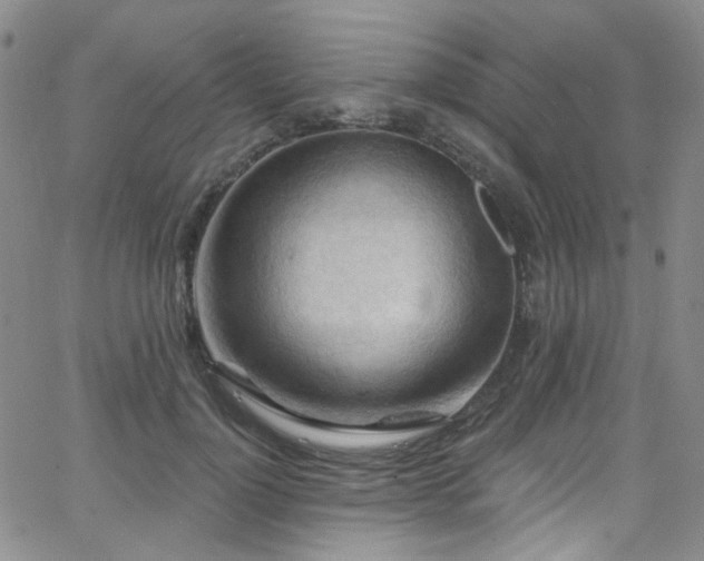 X0000063530748200601201458