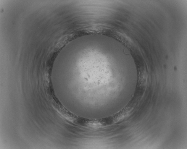 X0000063530749200601201458