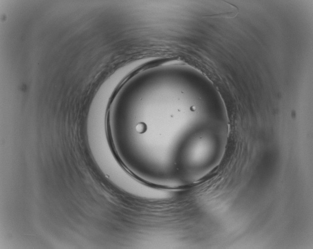 X0000063530750200601201458