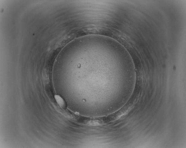 X0000063530751200601201458