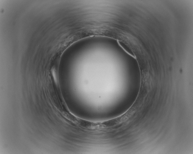 X0000063530752200601201458