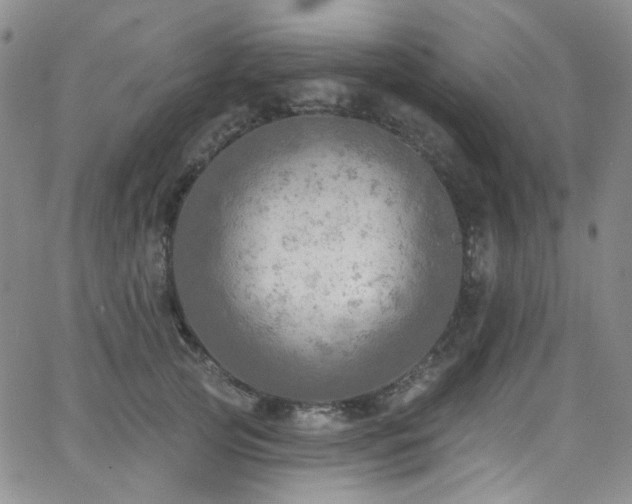 X0000063530753200601201458