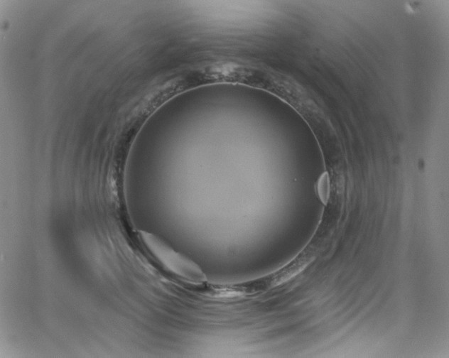 X0000063530754200601201458