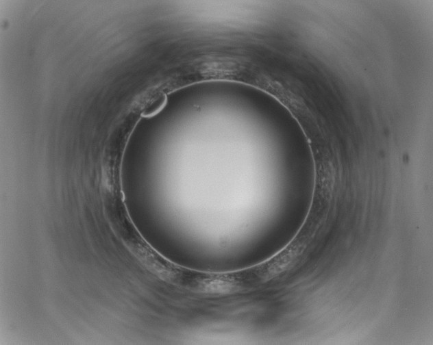 X0000063530755200601201458