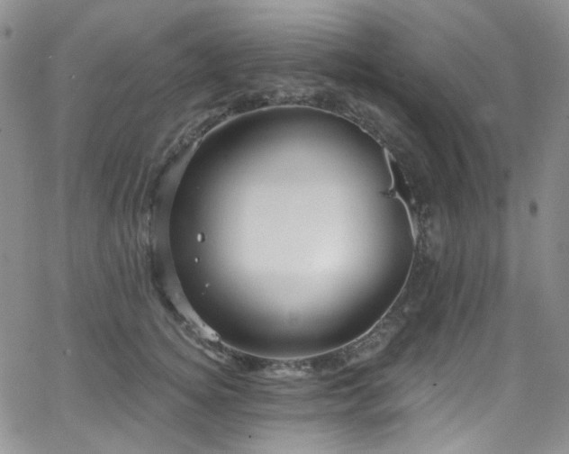 X0000063530756200601201458