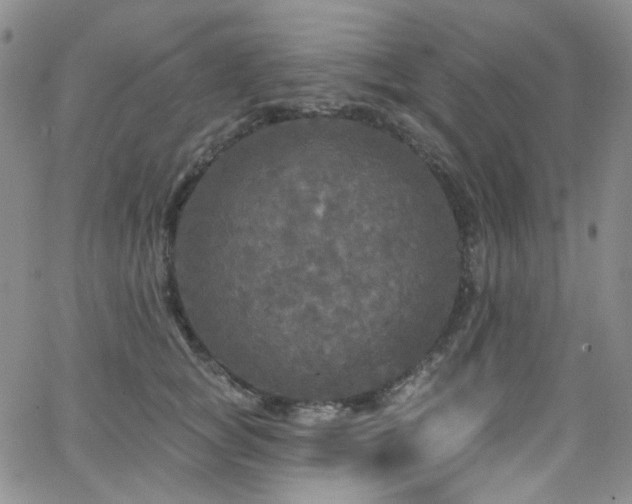 X0000063530757200601201458