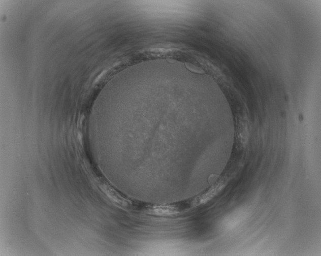 X0000063530758200601201458