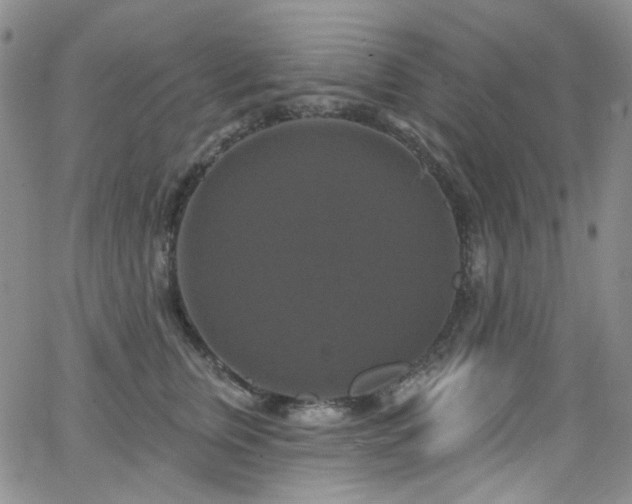 X0000063530759200601201458