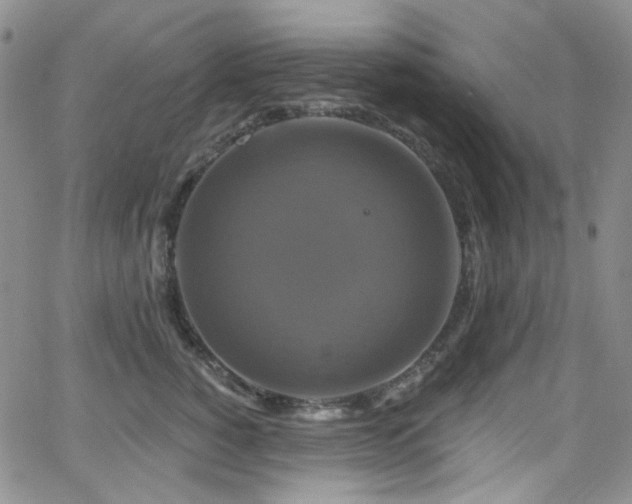 X0000063530760200601201458