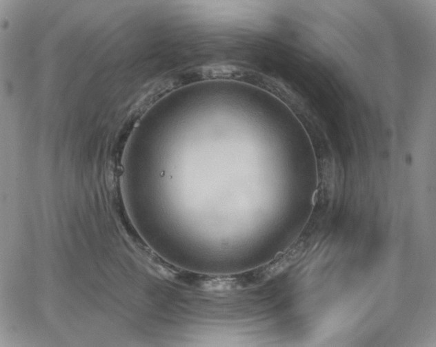 X0000063530761200601201458