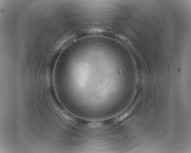 X0000063530762200601201458