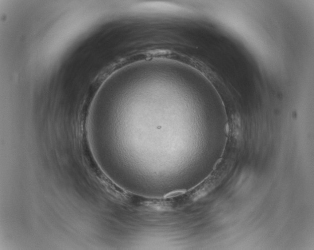 X0000063530763200601201458