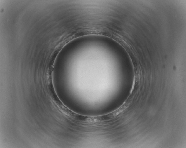 X0000063530764200601201458