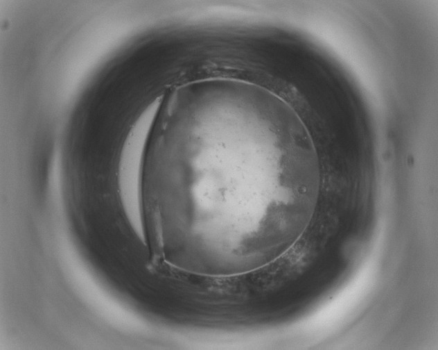 X0000063530765200601201458