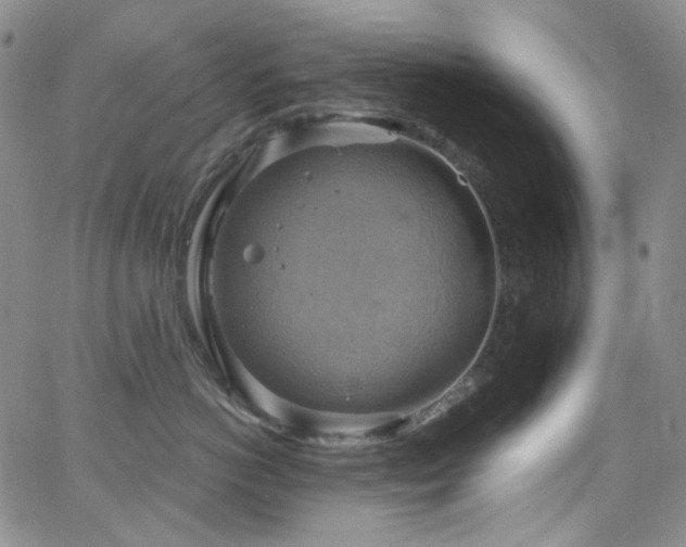 X0000063530766200601201458