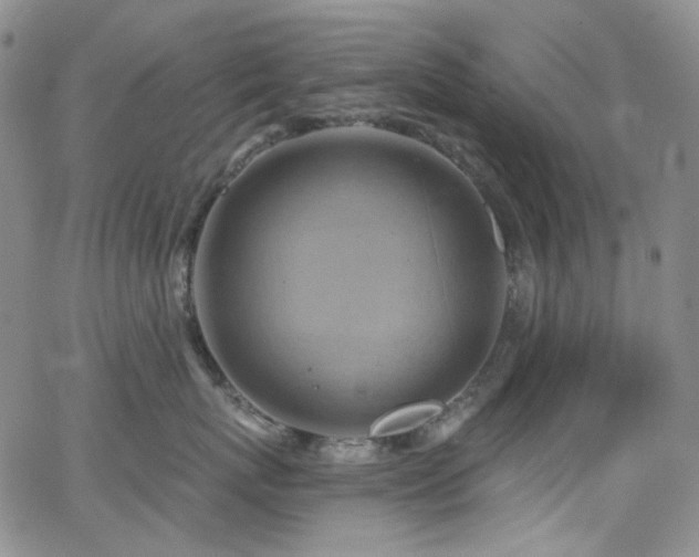 X0000063530767200601201458