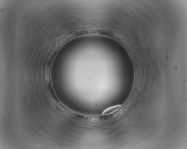 X0000063530768200601201458