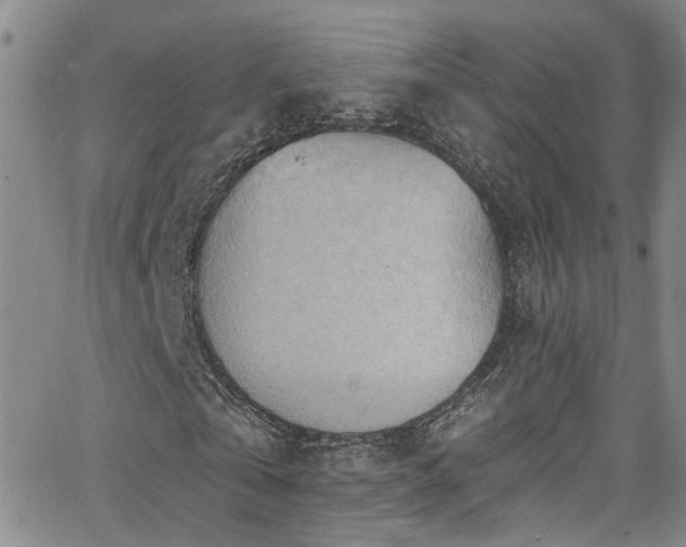 X0000063530769200601201457