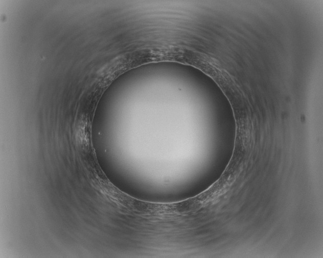 X0000063530770200601201457