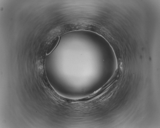 X0000063530771200601201457